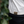 Laden Sie das Bild in den Galerie-Viewer, T-Shirt Brust-Stick
