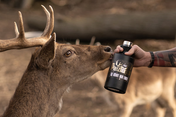 So hat der Platzhörsch röhren gelernt